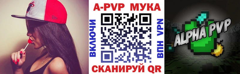 omg tor Тбилисская Alfa_PVP СК купить