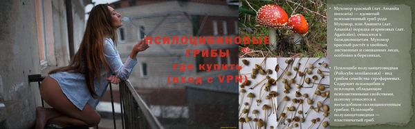 прущая мука Кулебаки