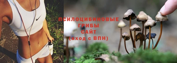 а пвп мука Кукмор