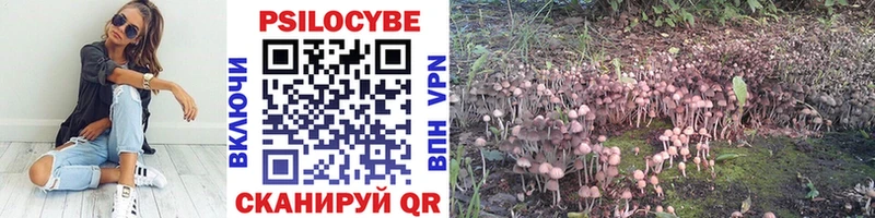 Псилоцибиновые грибы ЛСД  Тбилисская 